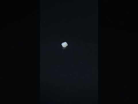 YouTube 썸네일