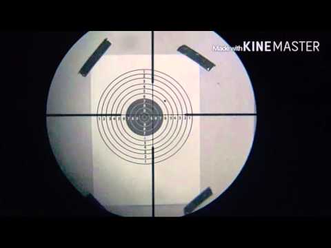 Como calibrar mira telescopica con un solo disparo