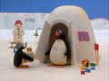 Pingu 03