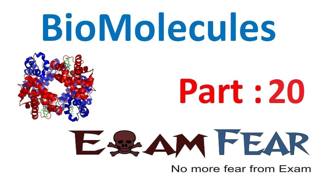 Chemistry Biomolecules part 20 (Vitamins) CBSE class 12 XII