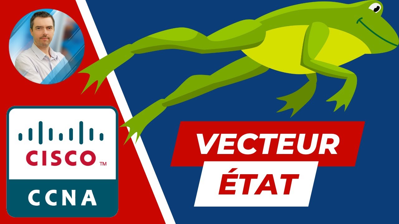 Vecteur de distance et Etat de lien