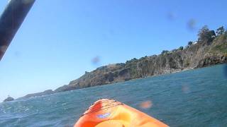 Kayaking in the Pacific Ocean at Albion River