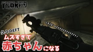 【EFT】#169 久しぶりのEFTで赤ちゃんになってしまうキツネ達　 ゆっくり実況