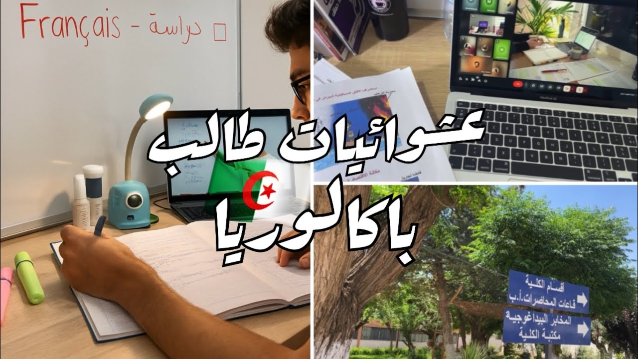 عشوائيات طالب باكالوريا | فلوق 06| 12 يوم قبل الباكالوريا🇩🇿