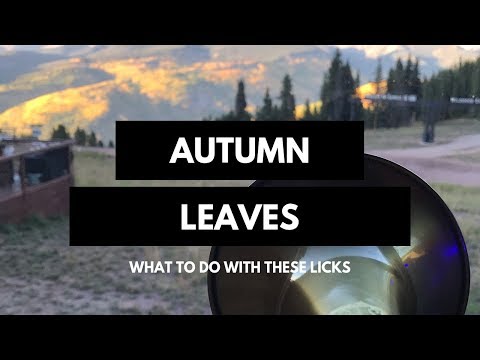 Autumn Leaves | What To Do With These Licks Week -10