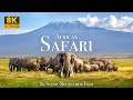 African Safari 8K Scenic Wildlife Film With African Music