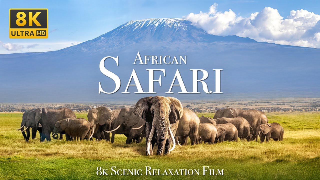 African Safari 8K - Scenic Wildlife Film With African Music