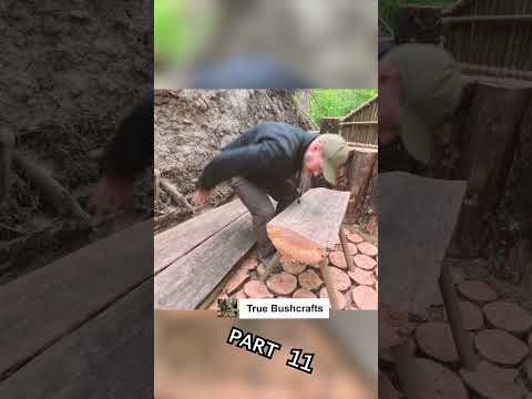 Building a Shelter Under a Tree Root | Part 11