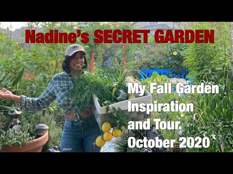 My Fall Garden Inspiration and Tour|Take a peaceful stroll through my garden|Oct 2020|Houston Texas