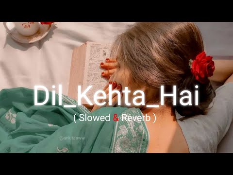 Dil Kehta Hai | [ Slowed & Reverb ]  Akele Hum Akele Tum | Kumar Sanu & Alka Yagnik | Aamir Khan