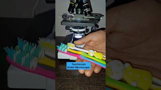 Download lagu Toothbrush under the microscope 🪥 🪥#microscopeview  #toothbrush #bacteria #observation #trending mp3