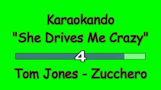 Karaoke Internazionale - She Drives Me Crazy - Tom Jones - Zucchero ( Lyrics )