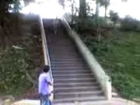 Rod Fernandez Urban Thomaz Mazzoni