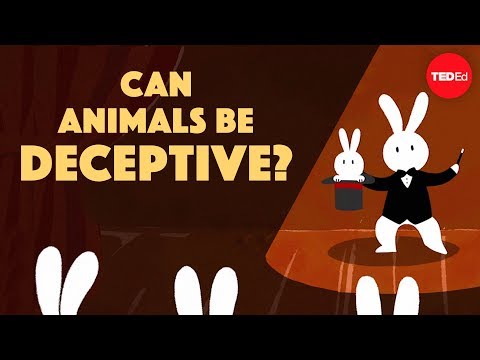 Can animals be deceptive? - Eldridge Adams