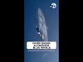 Breathtaking Underwater Video Diver Swims Alongside Blue Whale
