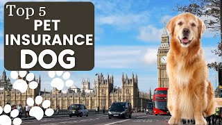Best Pet Insurance For Dogs 🇬🇧 | Top 5 Pet Health Insurance in UK - Insurance