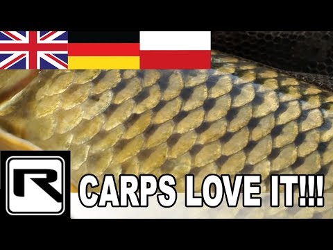 AUF DIESE BOILIES STEHEN ALLE KARPFEN - Mit Robin Illner im Frühjahr am Baggersee