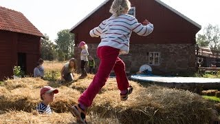 preview picture of video 'Skördefesten Åland 2014 – Harvest Festival'