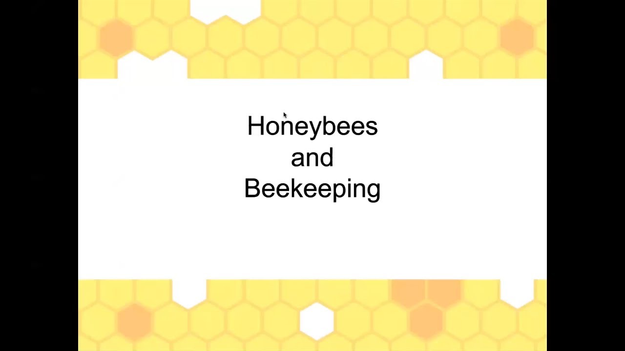 CCHBA Beekeeping 101 Session 1