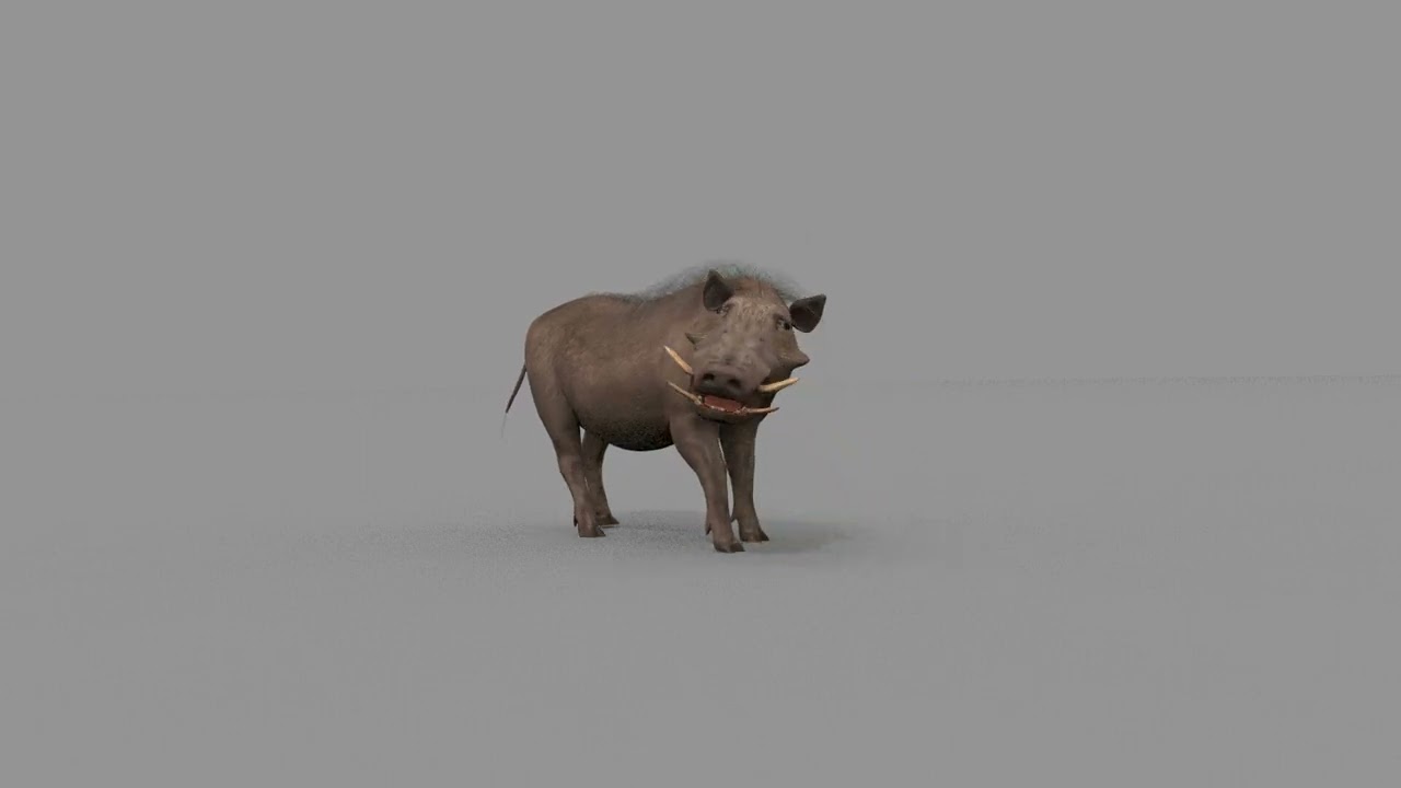 Warthog African pig - animated 3d fur model 3D Model