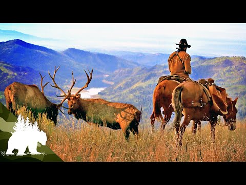 The Mountain Man: Surviving Alone in the Rockies | Complete Series | Survival Show