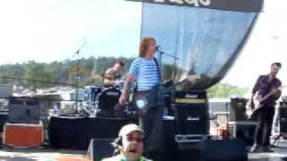 Free Fallin'--The Almost