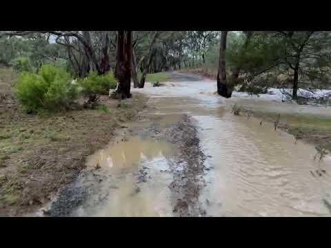 Flood 3