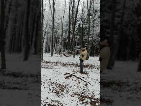 Bucium românesc legat cu coajă de cireș