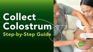 Download lagu Complete Colostrum Collection Guide | Haakaa Silicone Collector Tutorial mp3