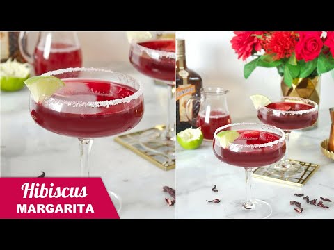 #BirdsParty Drinks Recipe — Hibiscus Margarita Cocktail 🍸 How To Make a Hibiscus Margarita!