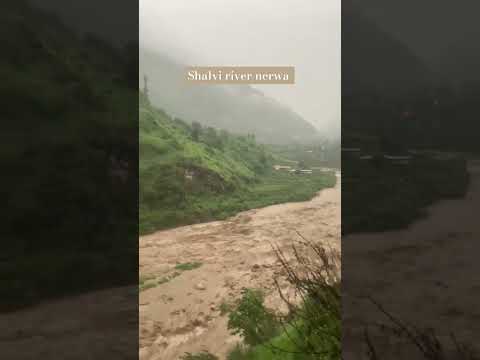 Massive flood in Shalvi river Nerwa #shorts #trending #viralvideo #flood #nerwa #raining #nerwa 🙏🙏🙏