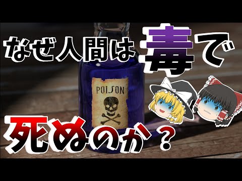 毒性について詳しく解説