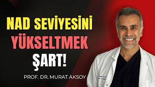 Vücudumuz İçin Olmazsa Olmaz! Nedir Bu NAD Gerçeği! | NAD'ı Nasıl Artı