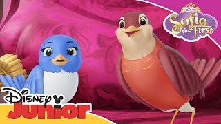 Sofia the First - Blue Ribbon Bunny Song | Official Disney Junior Africa