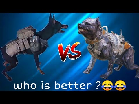 Vanguard K9 unit VS CODM K9 unit .who is better ?😂😂