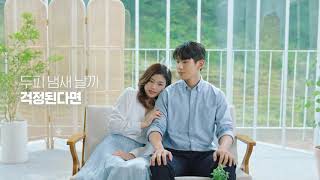 한국P&G 헤드앤숄더 애플 프레쉬 샴푸 850ml (3개)_동영상_이미지