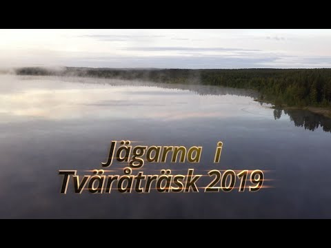 Älgjakten 2019