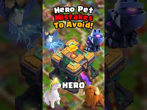 The BEST Hero Pets To Upgrade at Town Hall 14 REVEALED!