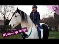 Halsring Reiten Ohne Sattel Zaumzeug Lieblingssongs Brought Me Back To You Sture Zetterberg