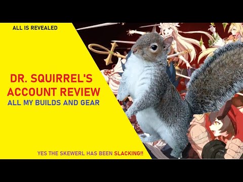 Dr. Squirrel Account Review Update - Lazy Squirrel Account Progression