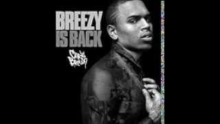 Chris Brown - Favor ( Official Song 2013 )