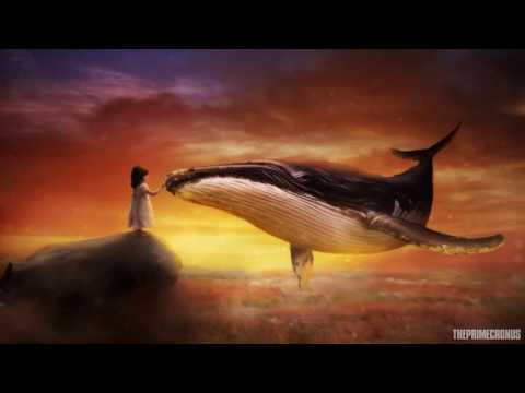 CueFonix - Possibilities [Ambient, Uplifting, Fantasy Music]