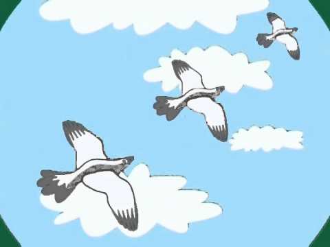 As Músicas da Carochinha Vol. 2 - Três Pombinhas a Voar