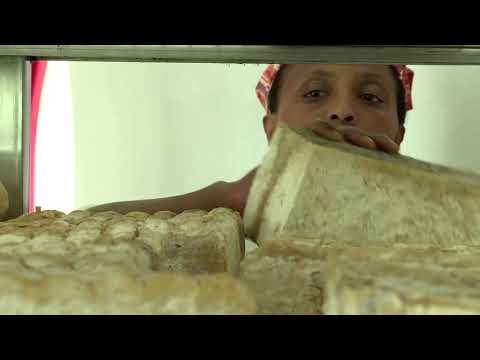 イタリアで統合の象徴となったエチオピア人移民が農場で殺害される (Ethiopian migrant who became symbol of integration in Italy killed on her farm)