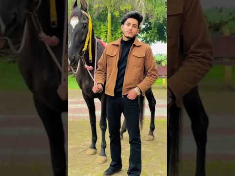 Avon brar .bandit(ft.gurlez akhtar)video insta reel ishan bagga