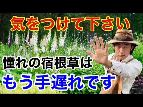 いつ木を植えるのですか？最もよくある間違いは何ですか?  庭園
