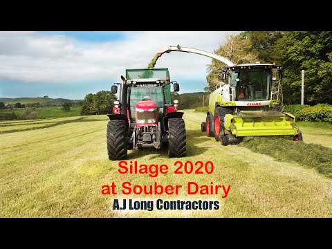 Silage 2020 at Souber Dairy. A.J Long Contractors
