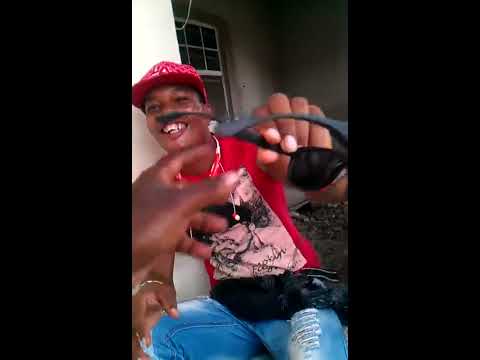 Preview-Perma fros new tune "technology"...