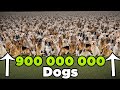 Number Of DOMESTIC ANIMALS At Scale 3D