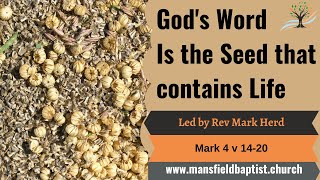 God's word is the seed that contains Life